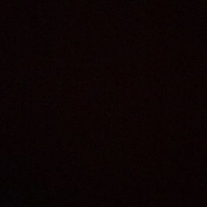 Meet your Posher, Myles